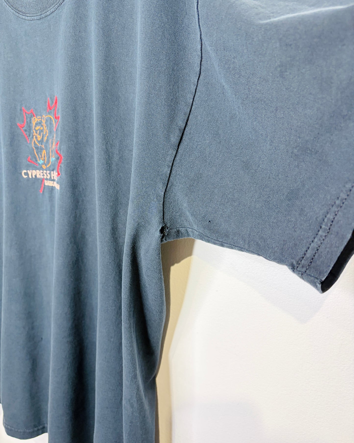Vintage Cypress Hills Saskatchewan Faded Black Tee Shirt