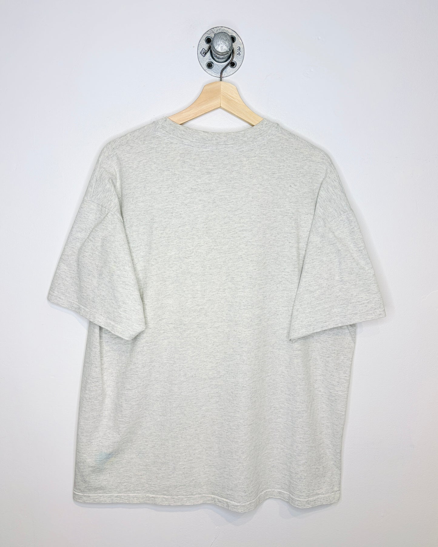 Vintage 2003 “I Spent Most Of My Money On Beer & Women” Grey Tee Shirt