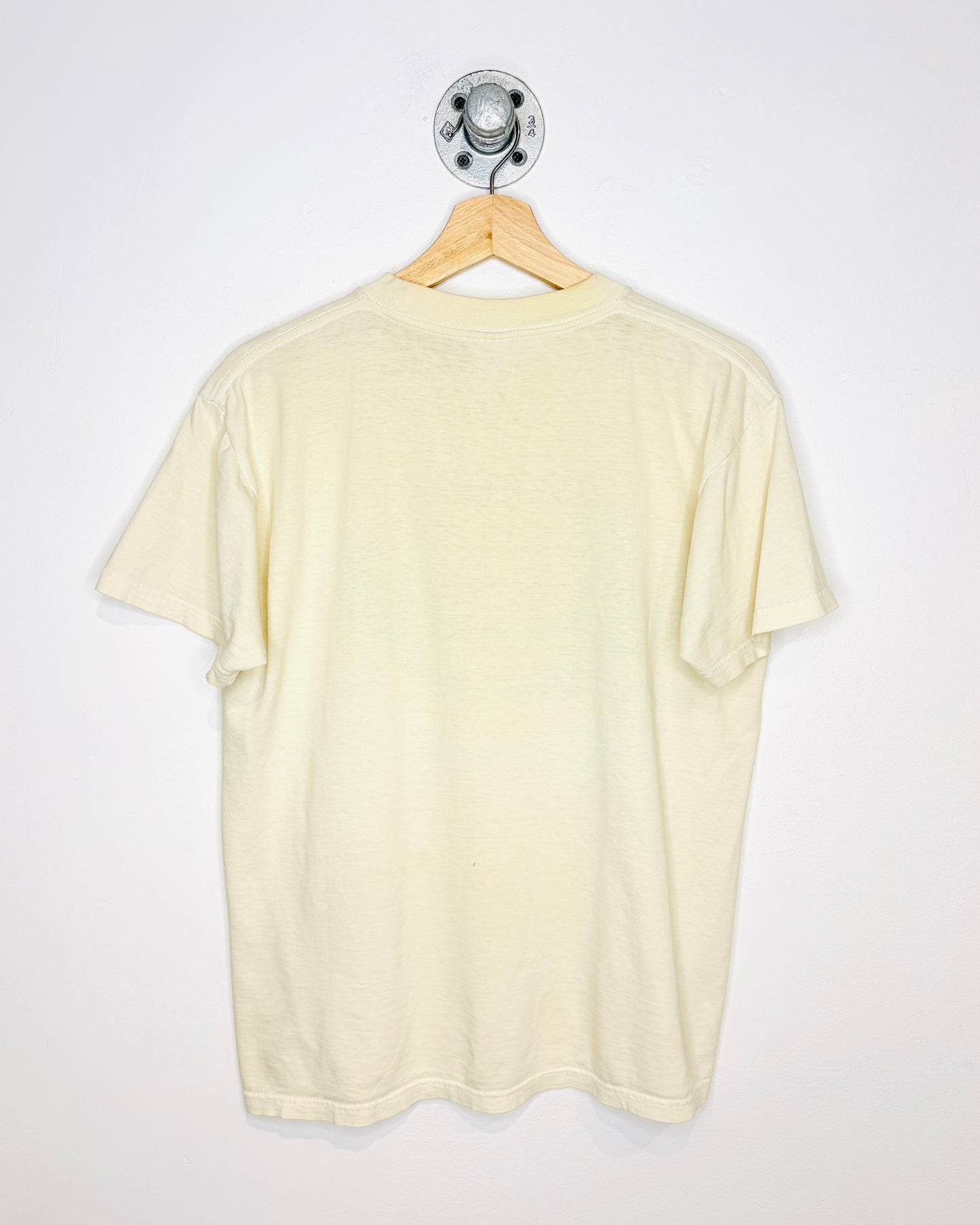 Vintage 90s Venice Beach California Earth Tone Tee Shirt
