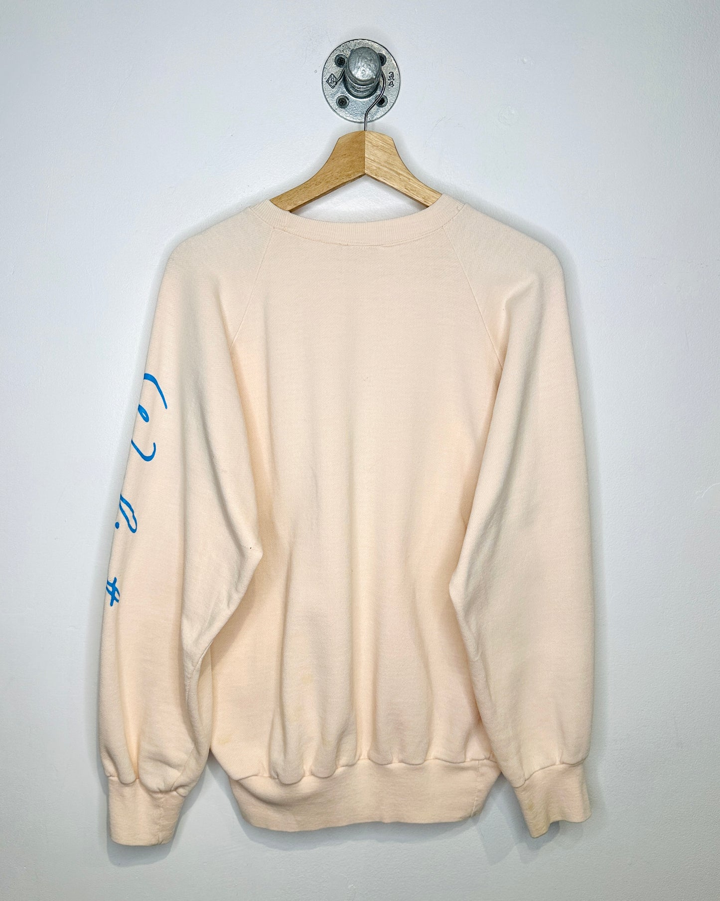Vintage 80s Polytees Raining Cats & Dogs Pink Crewneck Sweatshirt