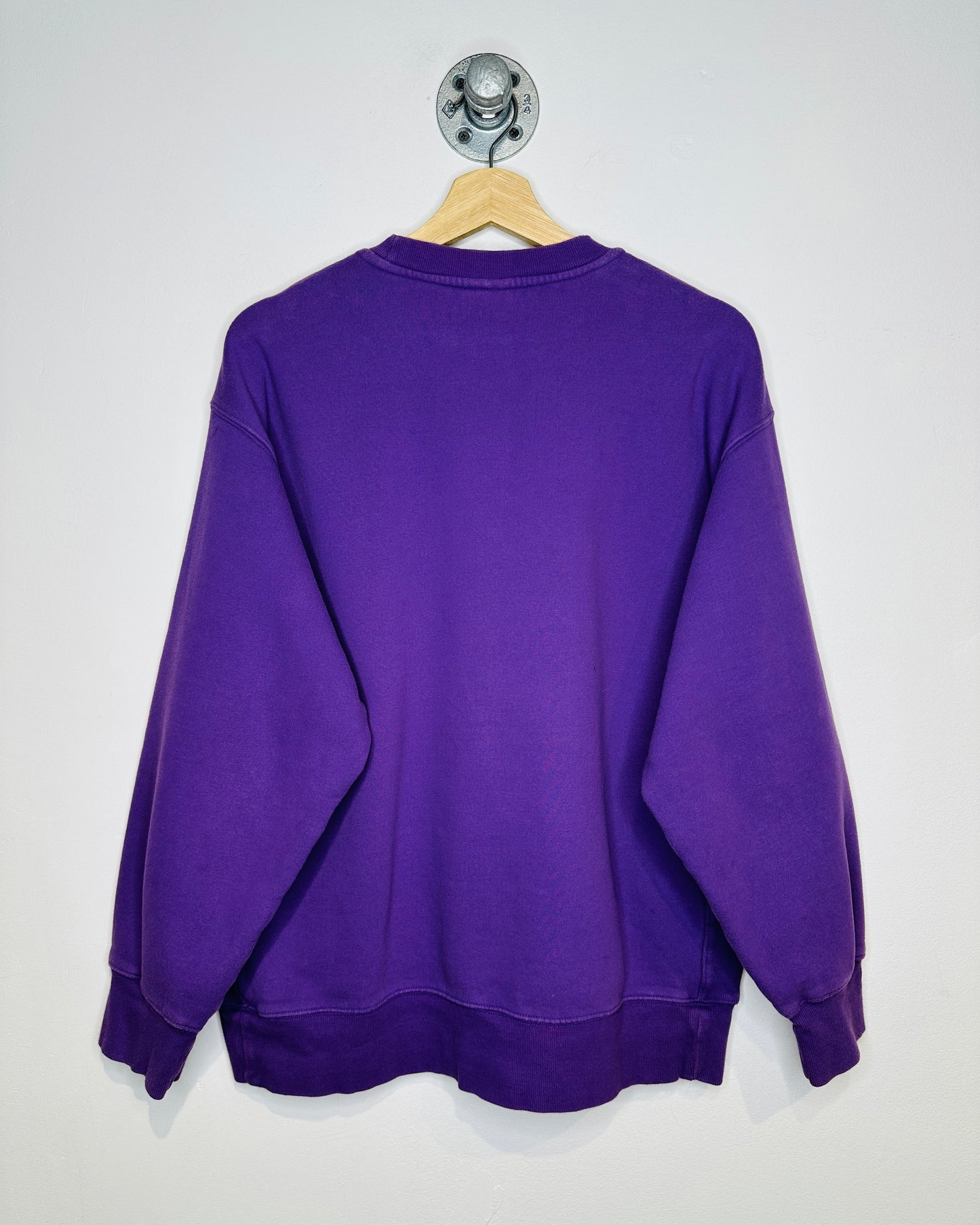 TNA Cozy Fleece Boyfriend Fit Dinosaur Purple Crewneck Sweatshirt