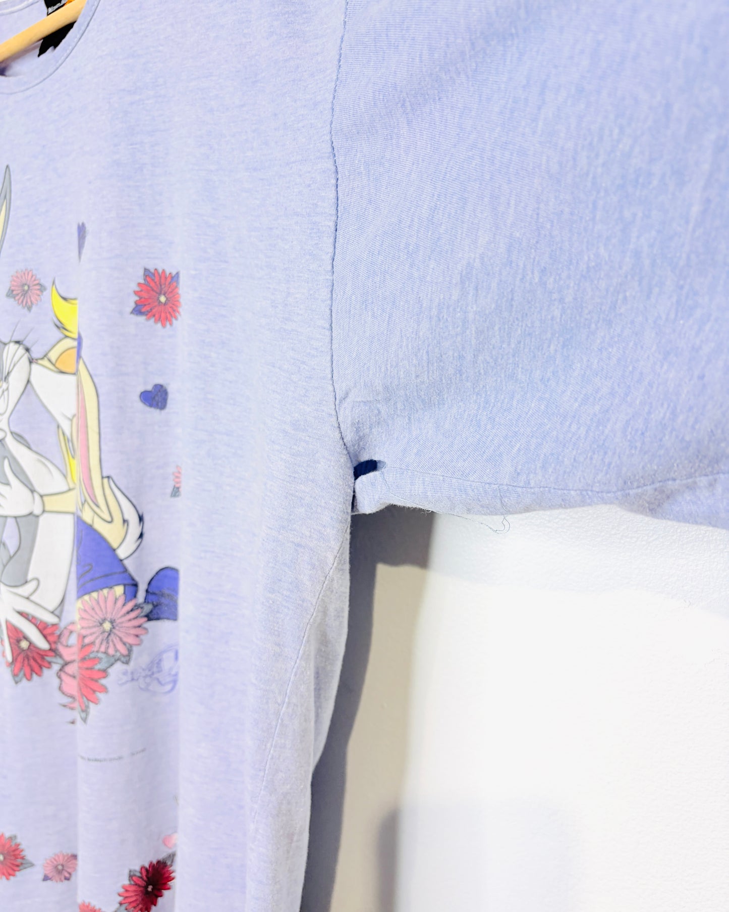 Vintage 1996 Space Jam Light Purple Longsleeve Shirt