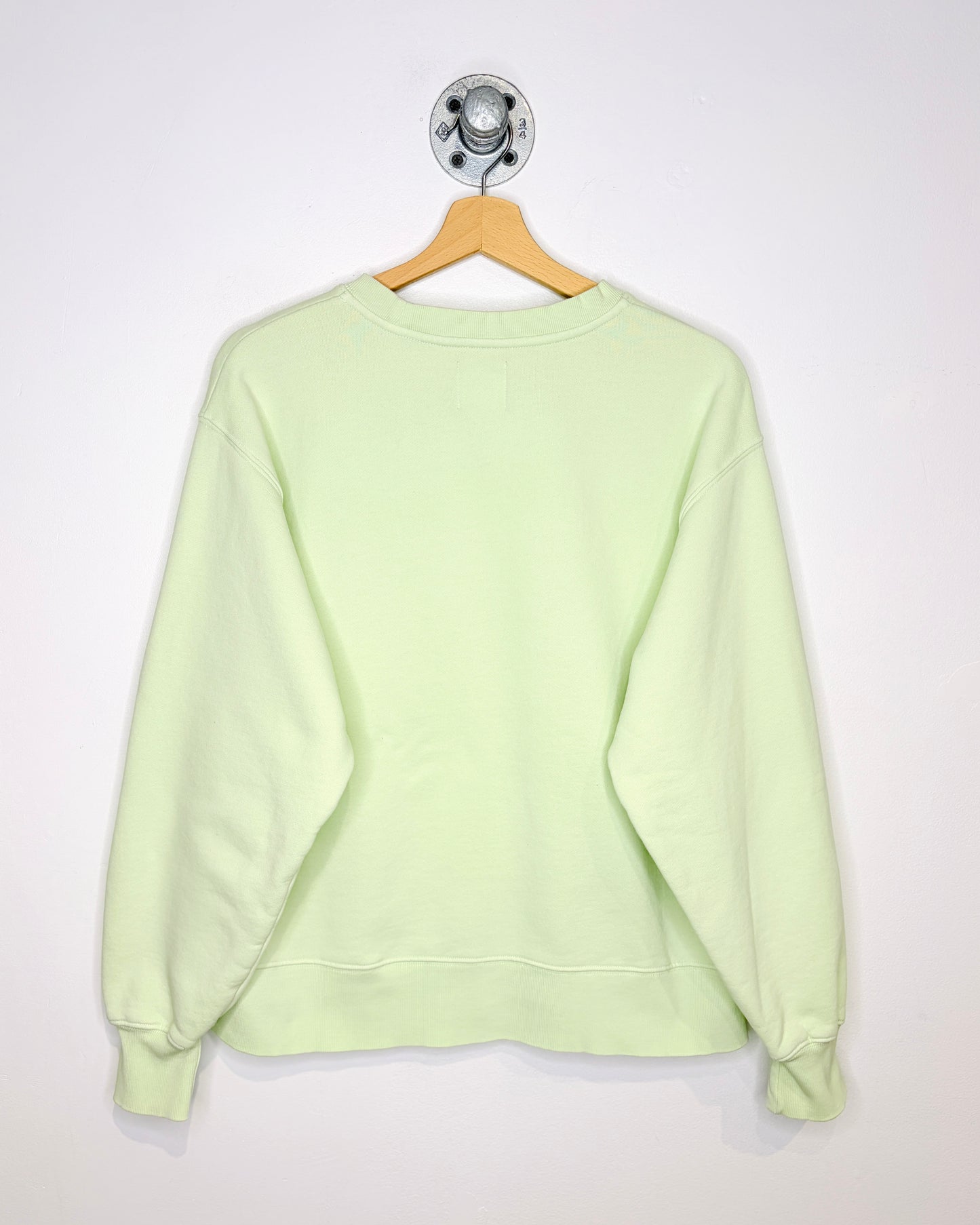 Women’s TNA Cozy AF Pale Green Crewneck Sweatshirt