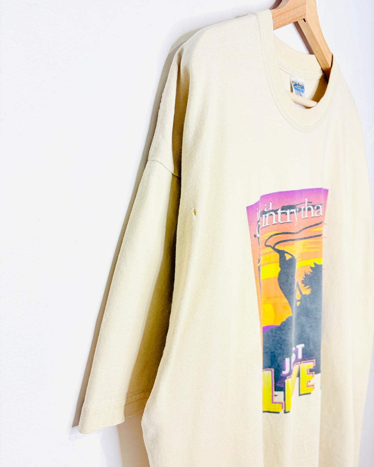 Vintage Early 2000s It’s A Country Thang…Just Live It! Cream Tee Shirt