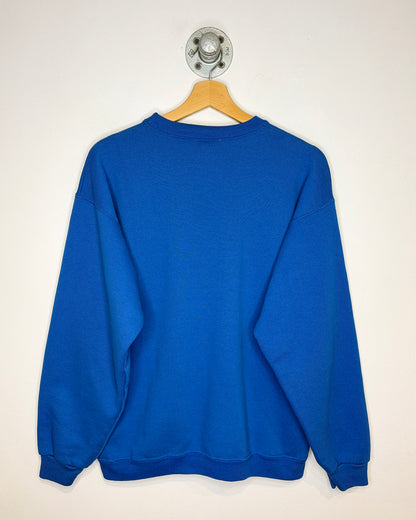Vintage 1993 The Dinosaur Project Glitter Fossil Blue Crewneck Sweatshirt