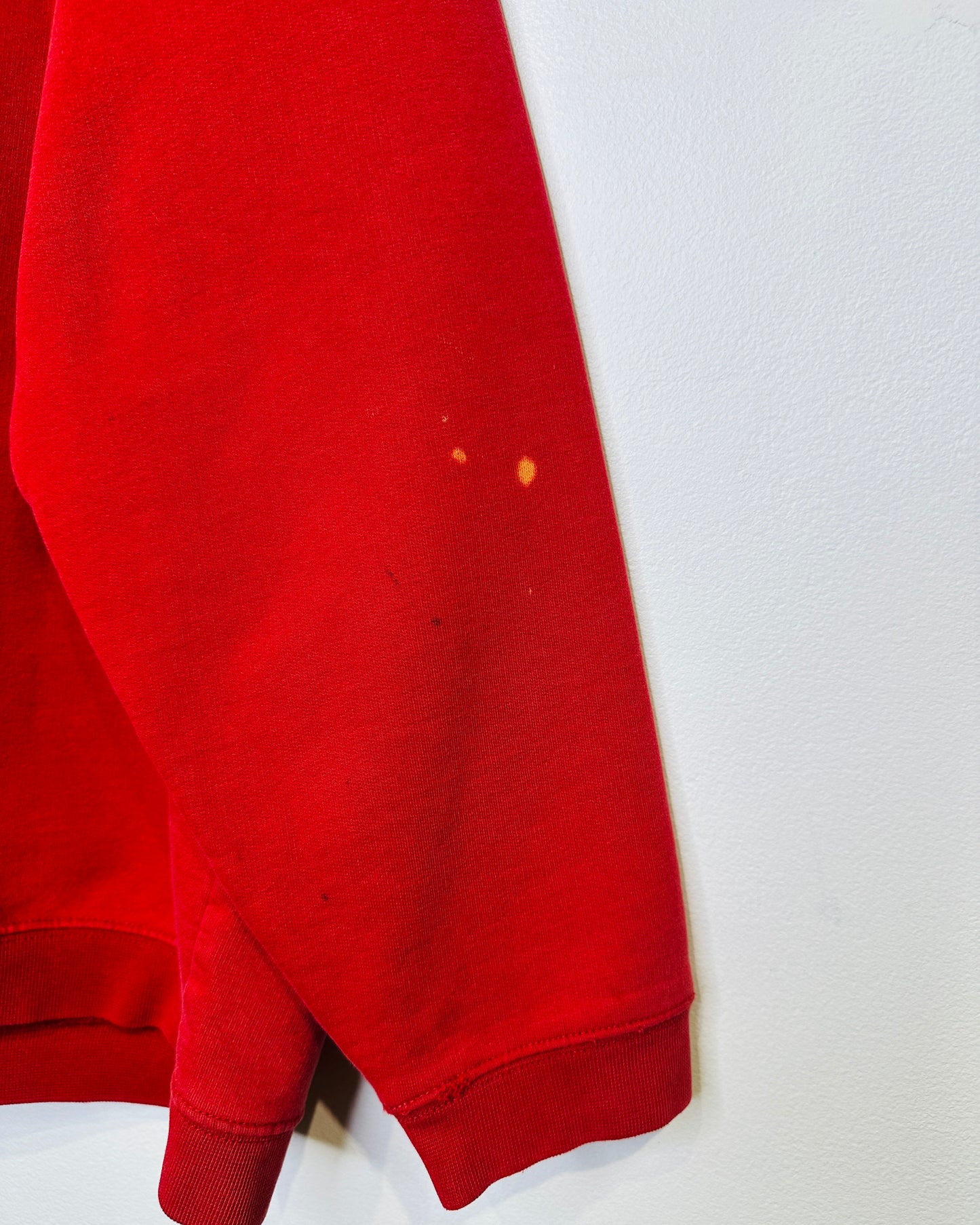 Vintage 2000s Disneyland Red Hoodie