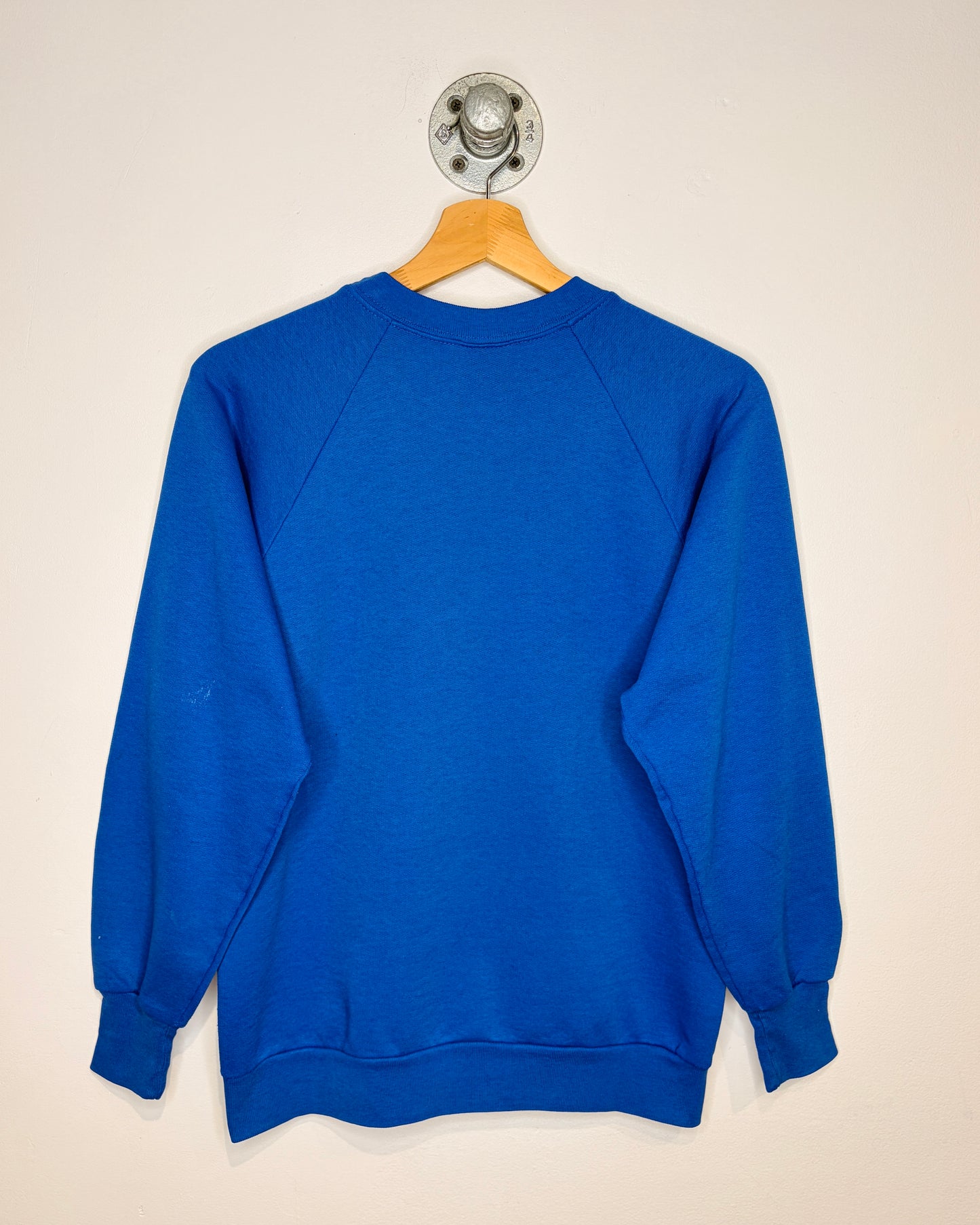 Vintage 90s Sue Coleman Art Blue Crewneck Sweatshirt