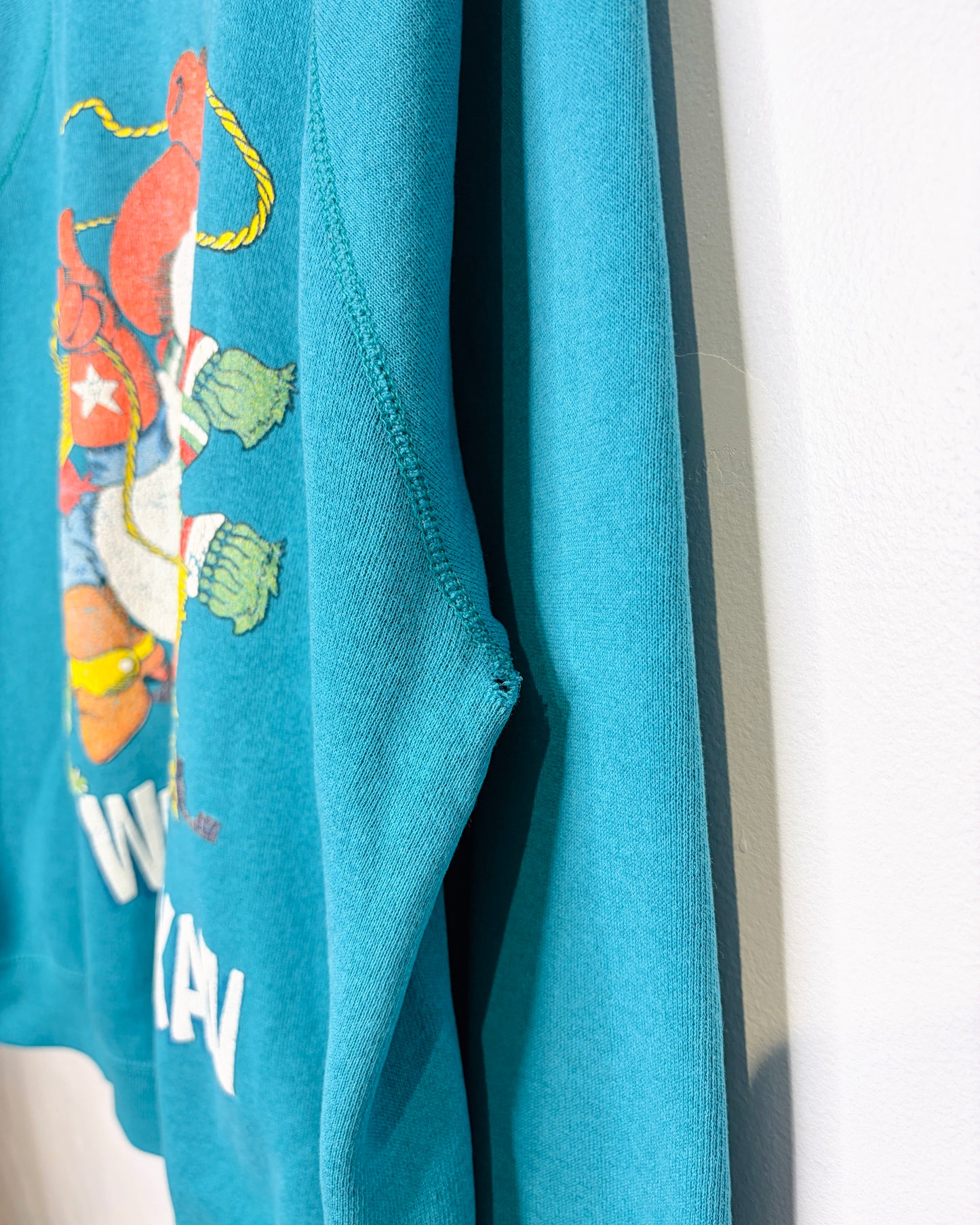 Vintage 80s Winter Texan Teal Raglan Crewneck Sweatshirt