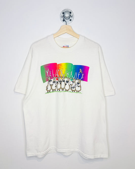 Vintage 1990s Yellowknife NWT Graphic Print White Tee Shirt