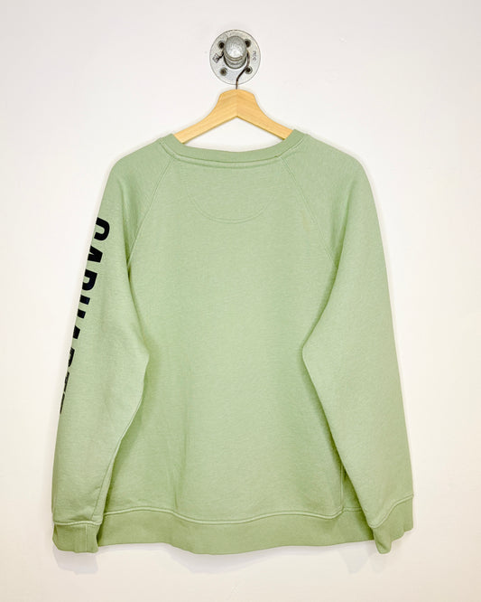 Carhartt Relaxed Fit Light Green Crewneck Sweatshirt