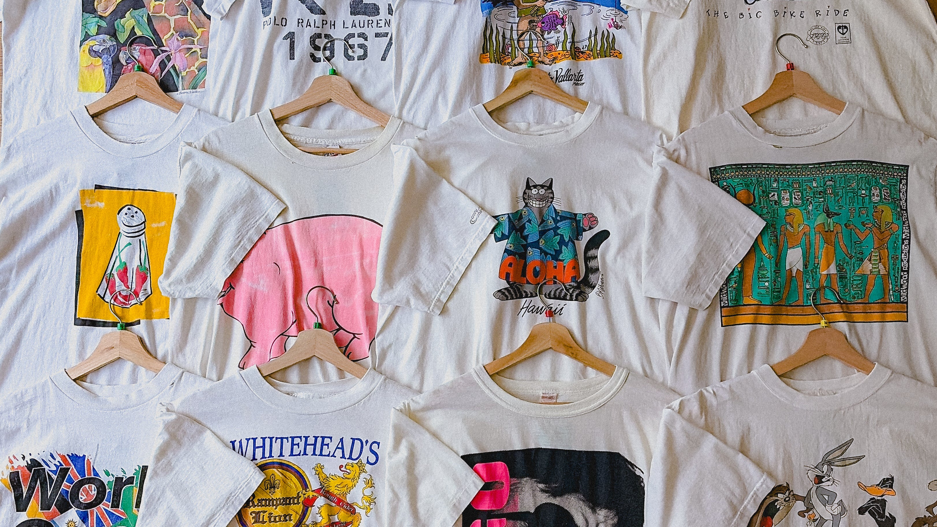 Wildrose Vintage. Canadian Vintage and Thrift Clothing.
