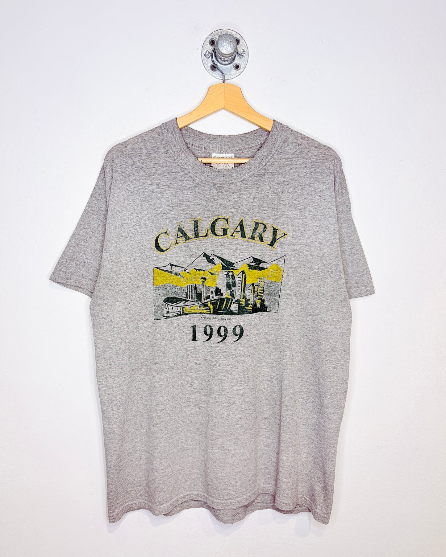 Vintage 1999 Calgary Landscape Grey Distressed Tee Shirt