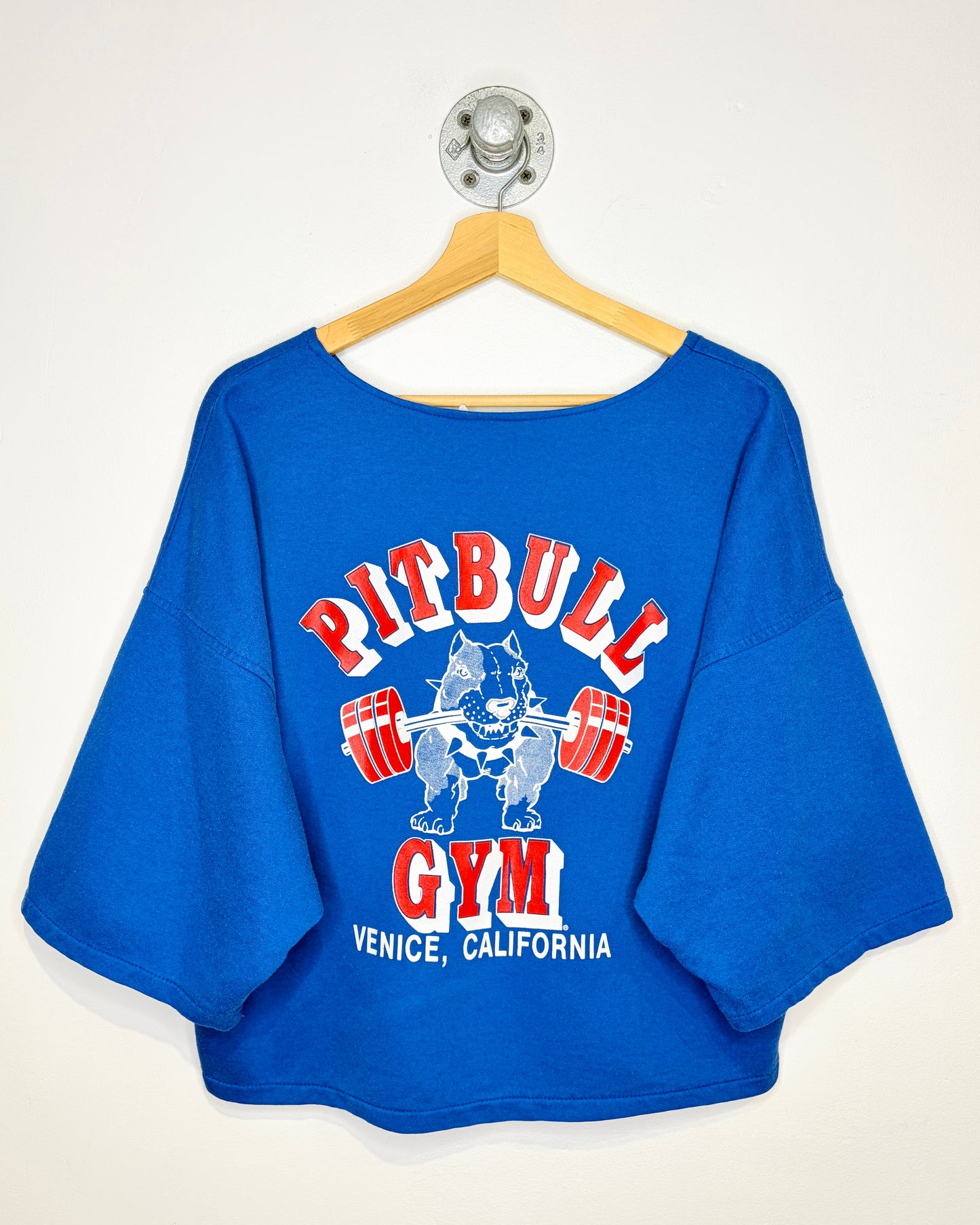 Vintage 90s Pitbull Gym Venice California Blue Pump Top