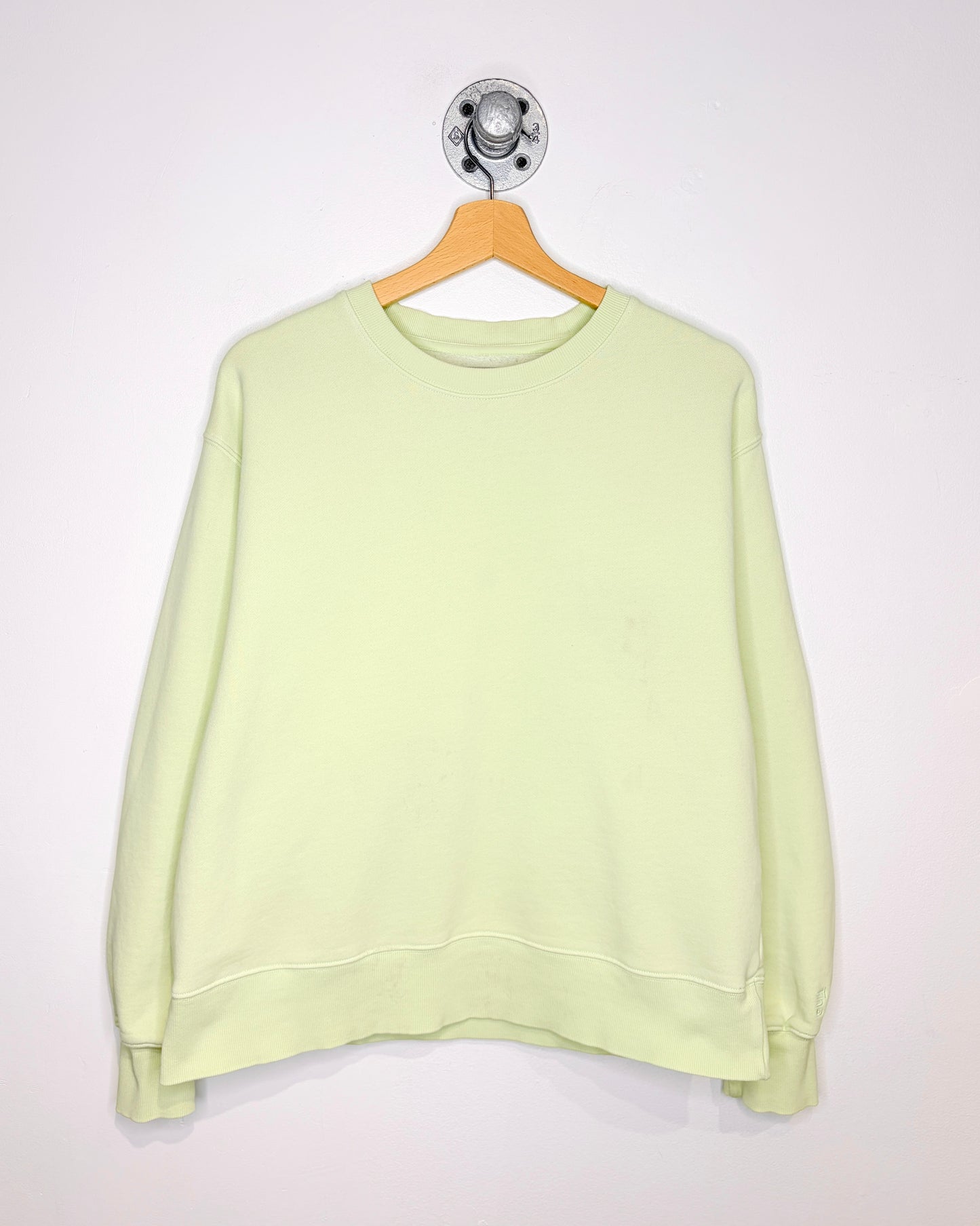 Women’s TNA Cozy AF Pale Green Crewneck Sweatshirt