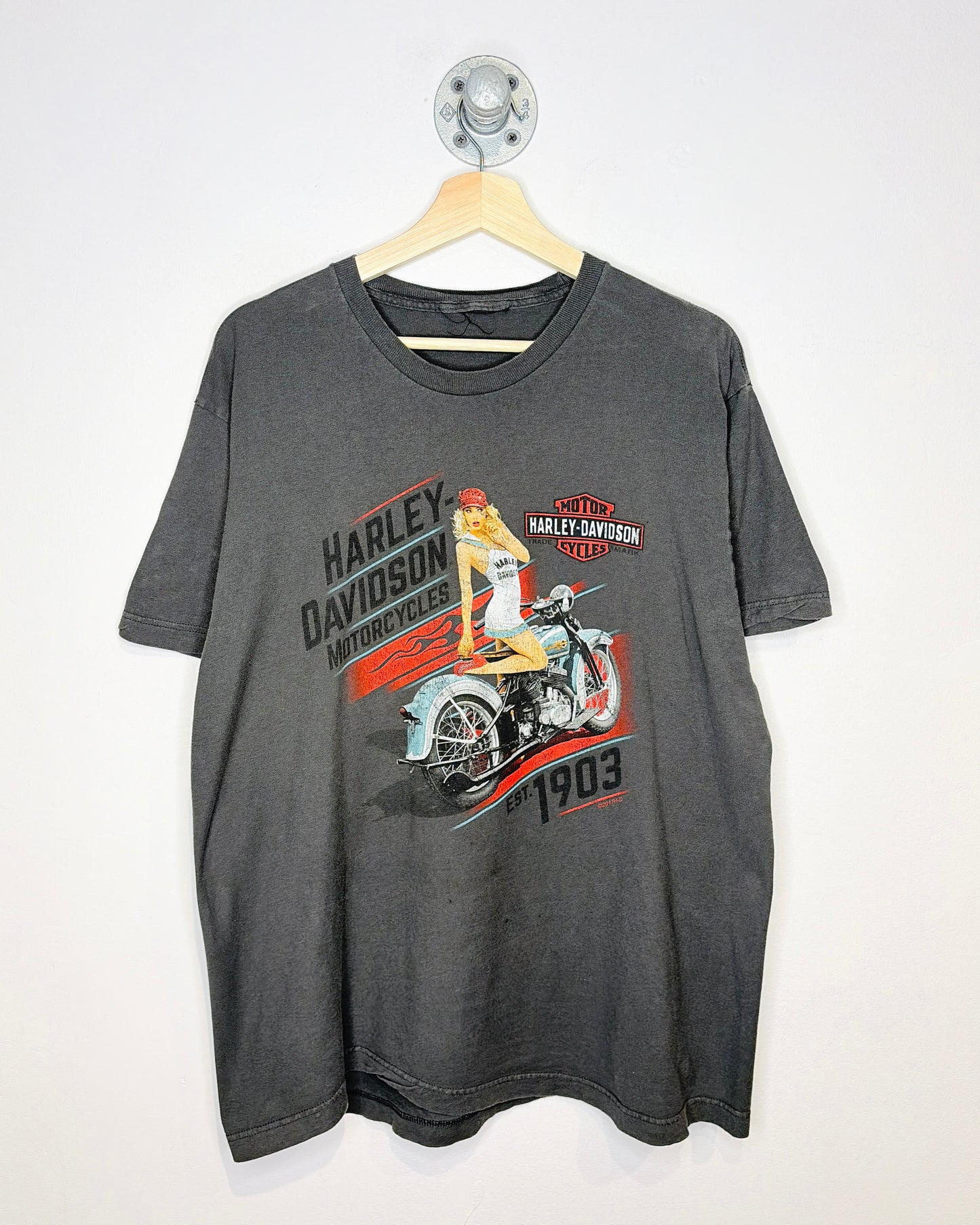 Harley Davidson Kingston Ontario Grey Tee Shirt